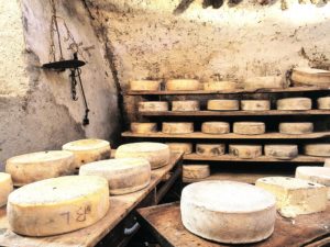 Производство сыра: бизнес-план создание собственного мини-цеха прогноз окупаемости и прочее