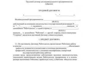 Образец заполнения трудового договора ИП с работником в 2018 году - бланк, на должность водителя, автомойки