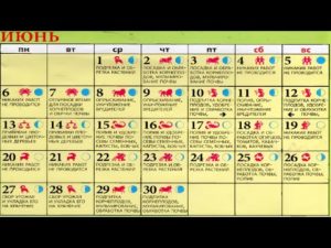 Календарь виноградаря